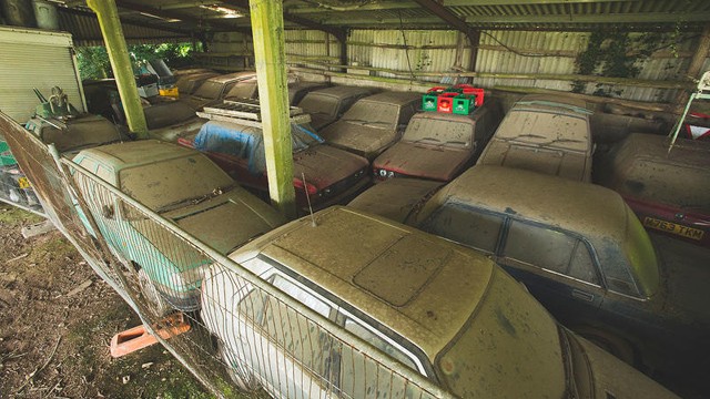 Skoda 70 cars (4)