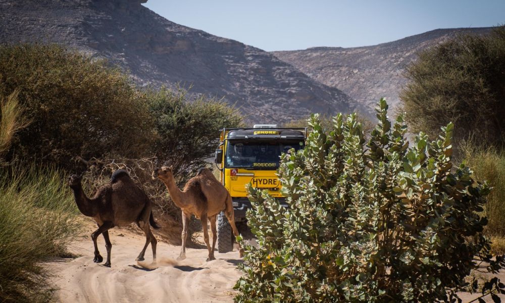 Camels-dakar21-s3-a1000x600