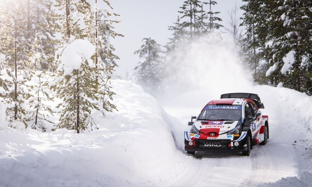 Ogier-Arctic21-a1000x600