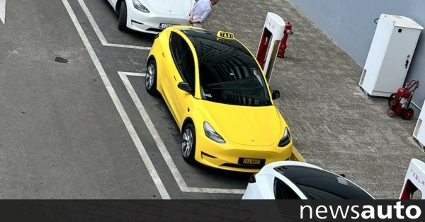 Greece with a Tesla Taxi at an amazing price!
